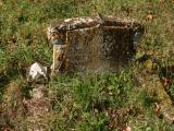 image of grave number 188031